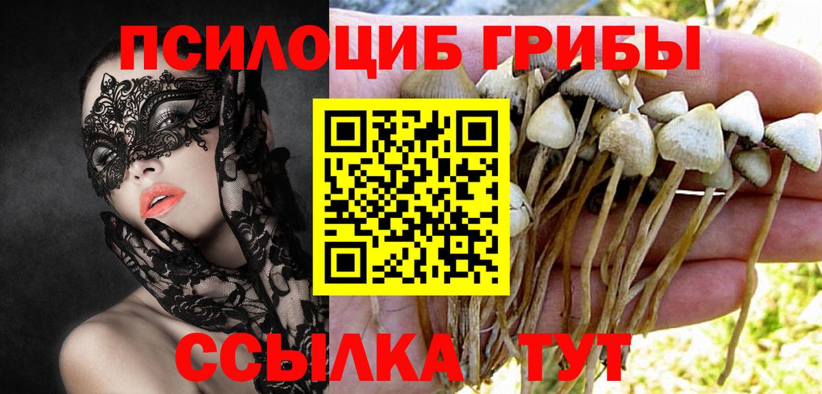 Галлюциногенные грибы MAGIC MUSHROOMS  Вход с VPN  Мытищи 